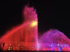 -九龙湖公园