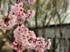-白塘生态植物园