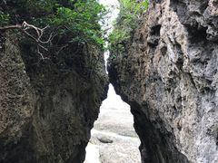 -鹅銮鼻公园