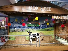 -鹿客西街(欧乐时尚广场店)