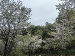 -临平公园(临平街道)