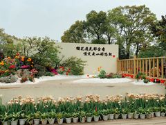 -南山植物园