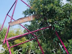 -小仙居·农家宴烤羊· 农庄