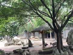 -成都动物园