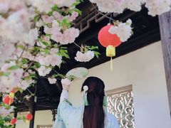 -雨花胜境