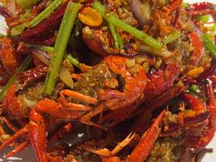 -京悦南门涮羊肉·羊蝎子火锅(田林路店)