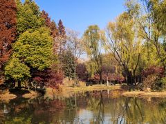 -洛阳市隋唐城遗址植物园