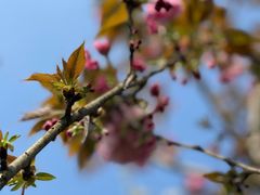 -重庆中央公园(渝北区)