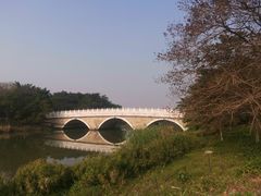 -海珠湖公园