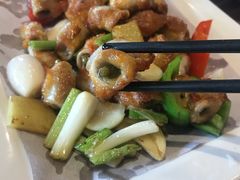 -顺德了能馆(虎门店)