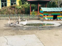 -俄罗斯风情小镇