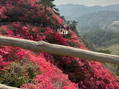 -木兰云雾山