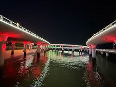 -演武大桥观景平台