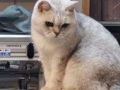 -小时光咖啡馆(北锣鼓巷店)