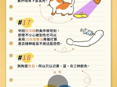 -美联众合动物医院·24h转诊中心