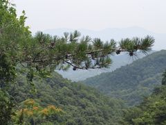 -沂蒙山旅游区云蒙景区(蒙山国家森林公园)