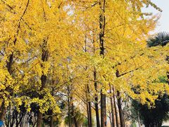-宝岛公园