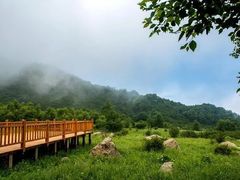 -白草畔自然风景区