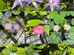 -国家植物园南园