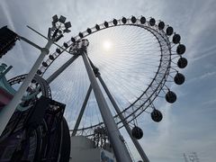 -海合安武汉极地海洋公园