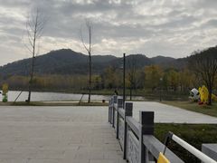 -千年银杏谷文化旅游区