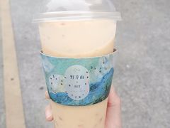 -野萃山·潮汕厚果汁(十亩地店)