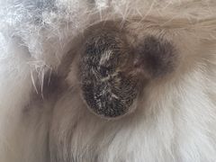-美迦爱-牙专科·兔科·骨科诊疗中心(北苑店)