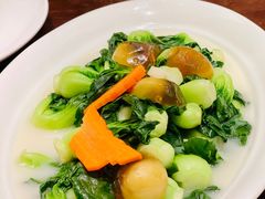 -芙蓉堂(武汉天地店)