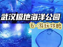 -海合安武汉极地海洋公园