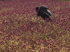-嘉荫恐龙国家地质公园