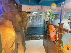 -海合安青岛极地海洋公园