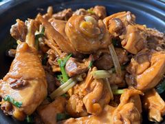 现杀果园鸡—黄焖鸡-生态苑农庄(十里画廊遇龙河店)