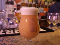 -ZING鲸鱼啤酒(葡萄院店)