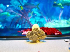 -迪拜帆船酒店海底餐厅