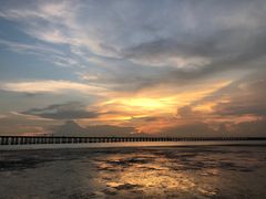 -宝安西湾红树林湿地公园