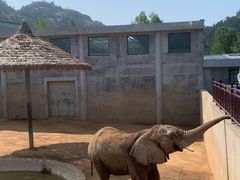 -西霞口神雕山野生动物世界