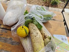 -前小桔亲子创意农场·草莓采摘·露营烧烤