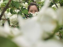 -铁山坪森林公园