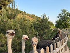 -山西乌金山旅游区