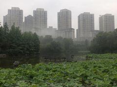 -龙头寺公园