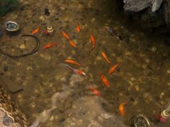 -日日鲜茶餐厅(小公园店)