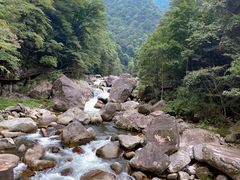 -炎陵县神农谷国家森林公园