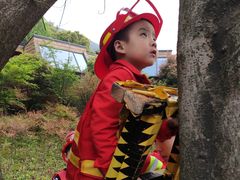 -杭州开元森泊度假乐园