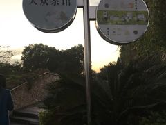 -金鸡山公园