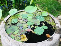 -南通洲际绿博园