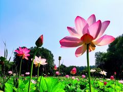 -东郊湿地公园