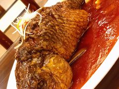 罾蹦鲤鱼-津菜宋记老房子(鼓楼店)