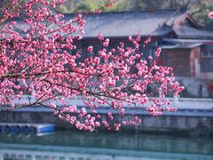 -望江楼公园