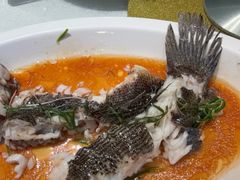 -客家汇·客家传承菜(水库店)