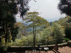 -莫干山风景区